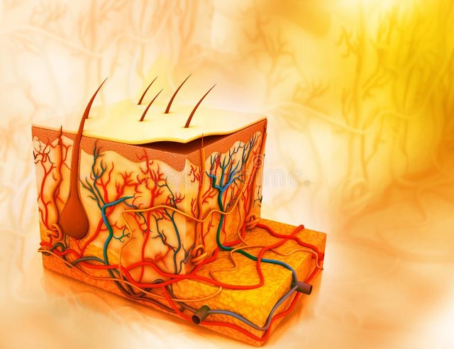 双极射频是什么3.微针射频因为被包装成“黄金微针”而被大家熟知。通过有形的针精准定位于真皮深部或浅部，除了释放的射频能量起作用，针刺本身的机械刺激也会促进胶原新生，启动损伤修复机制。在通道打开同时搭配一些靠谱的功效成分，可以相得益彰。除了促进年轻化，还可以治疗痘坑、腋臭和妊娠纹等，因为射频的“色盲”特点，相比点阵_https://www.jmylbn.com_新闻资讯_第6张