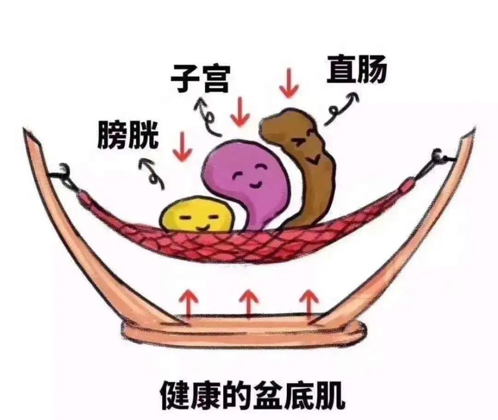 77岁阿姨的子宫,膀胱都脱垂,盆底重建术治好了她的难言之隐_李旭东