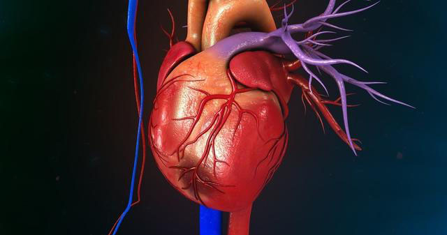电解质用什么管子抽血辟谣：医院抽了好几次血，都抽成贫血了？医生：抽血很必要！_https://www.jmylbn.com_新闻资讯_第3张