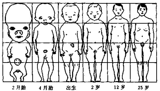 人从小到大的成长图片图片