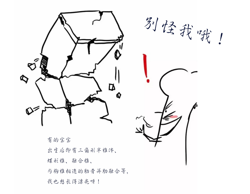 蝶形椎?是什么让我脊柱扭曲!