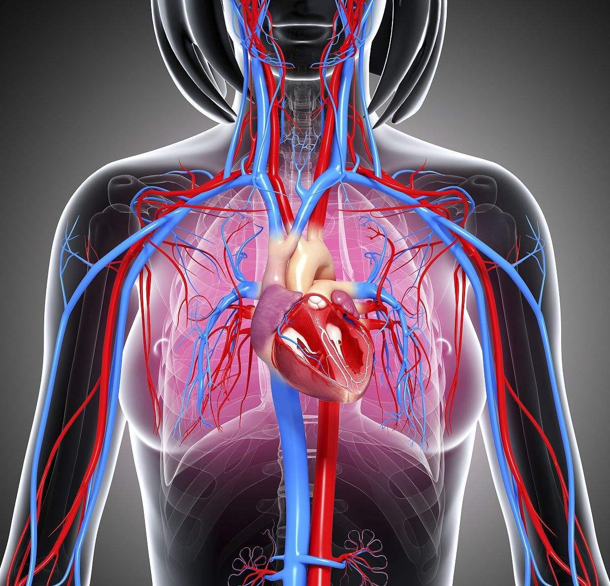 什么是中心静脉压?