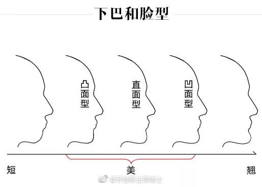 直面型和微凸面型图片