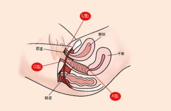 简单几招让高潮更持久