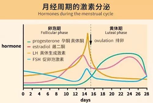 月经第几天检查激素六项，结果较为准确？程亚辉讲解程亚辉主任医师爱问健康 