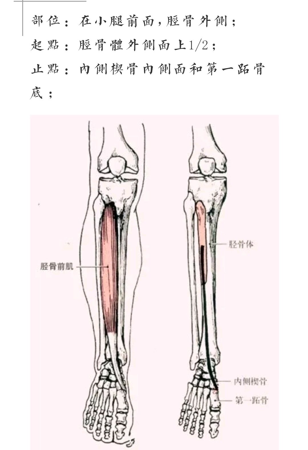 你有没有过小腿前面疼痛的经历呢?
