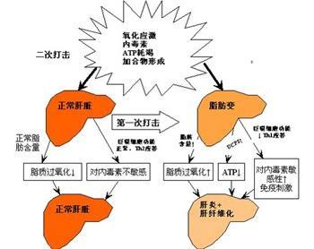 肝癌是什么原因引起的图片