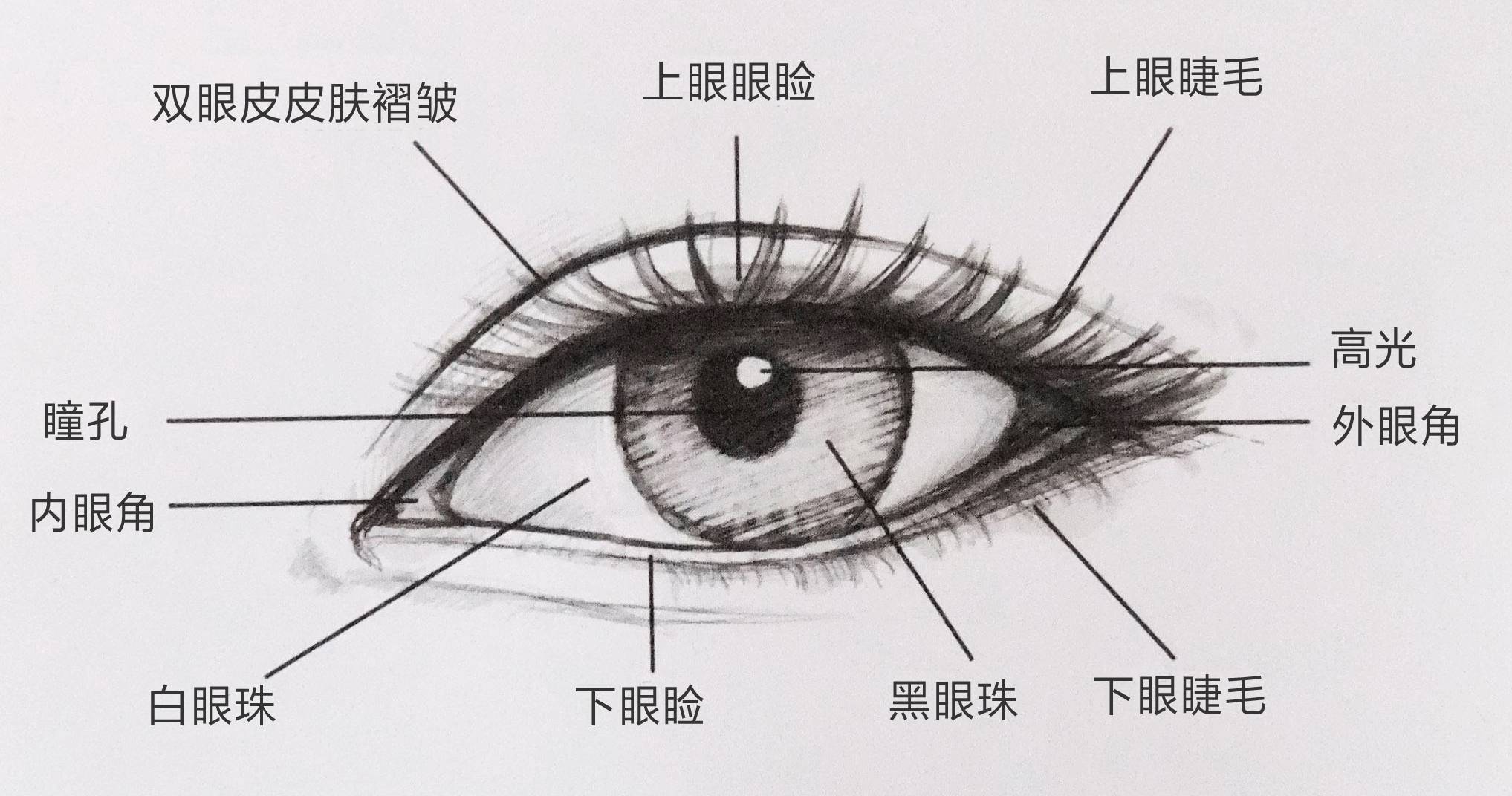 有灵气的眼神是什么样子的?_张姣姣_主任医师_爱问健康