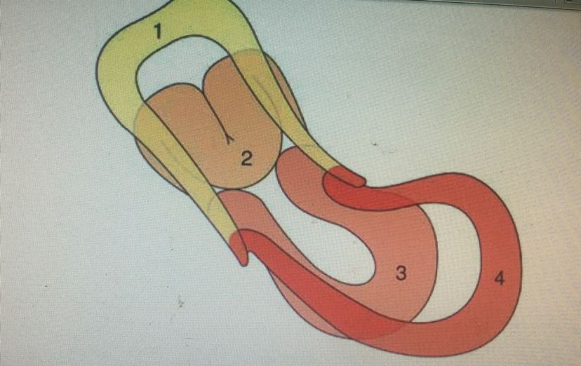 子宫内翻_张勇_副主任医师_爱问健康