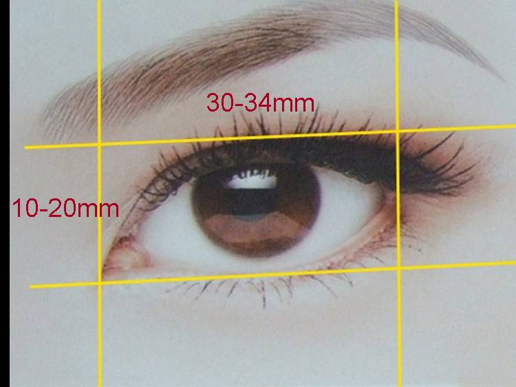 确认过眼神这就是眼部美学十大标准