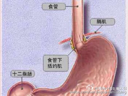 关于胃食管反流,你真的了解吗? _崔强_主治医师_爱问健康