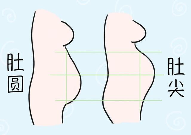 孕期肚子形状还有这些区别?