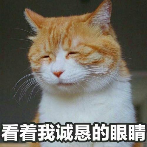 这些眼部护理小知识千万不要错过