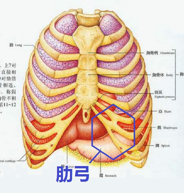 正常情况下