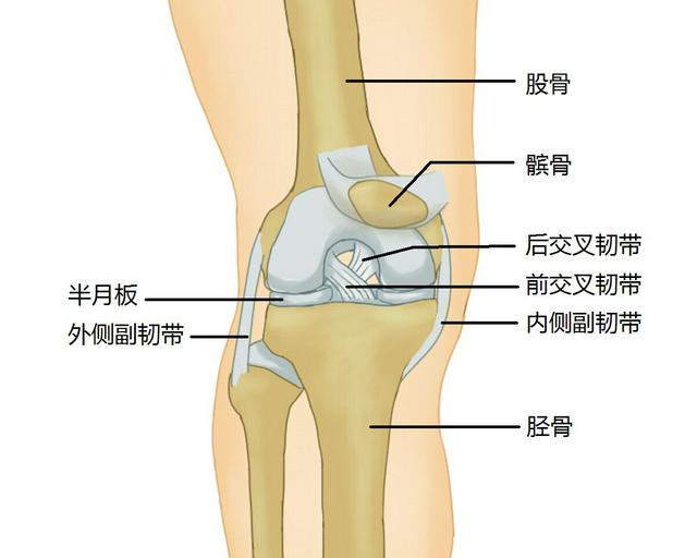 膝关节韧带做完手术之后，恢复时间轴你知道吗？6个阶段详细讲解