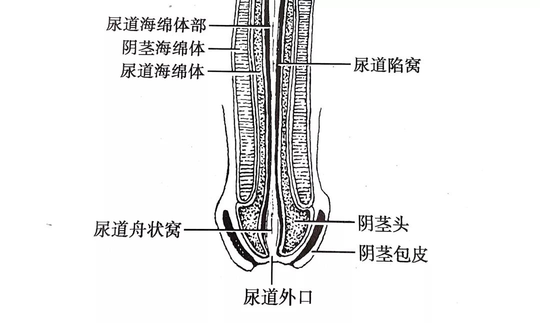 向建平__爱问健康