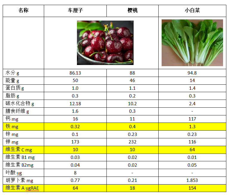 沙王大樱桃需冷量图片