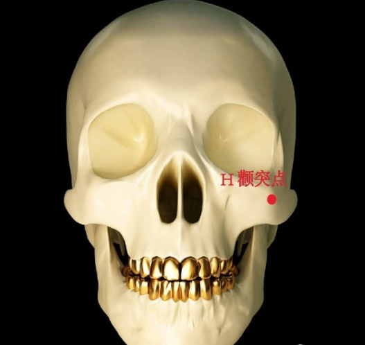 美人在骨 不在皮,颧骨颧弓剖析_何晋龙_副主任医师_爱问健康