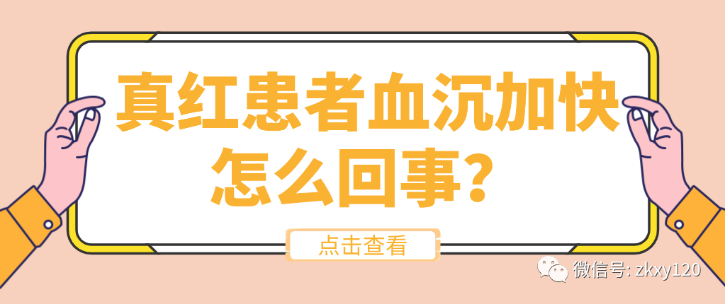 真性红细胞增多症患者血沉加快怎么回事?_韩海燕_助理医师_爱问健康