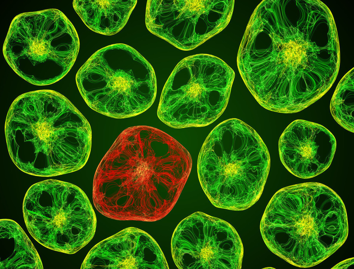 癌细胞突变的诱因终于水落石出,这类细胞会酿造成癌?
