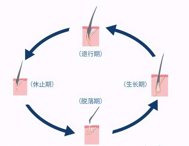 谈个恋爱吧，可以生发的那种？（必读生发避坑指南）_刘长春_主任医师_爱问健康