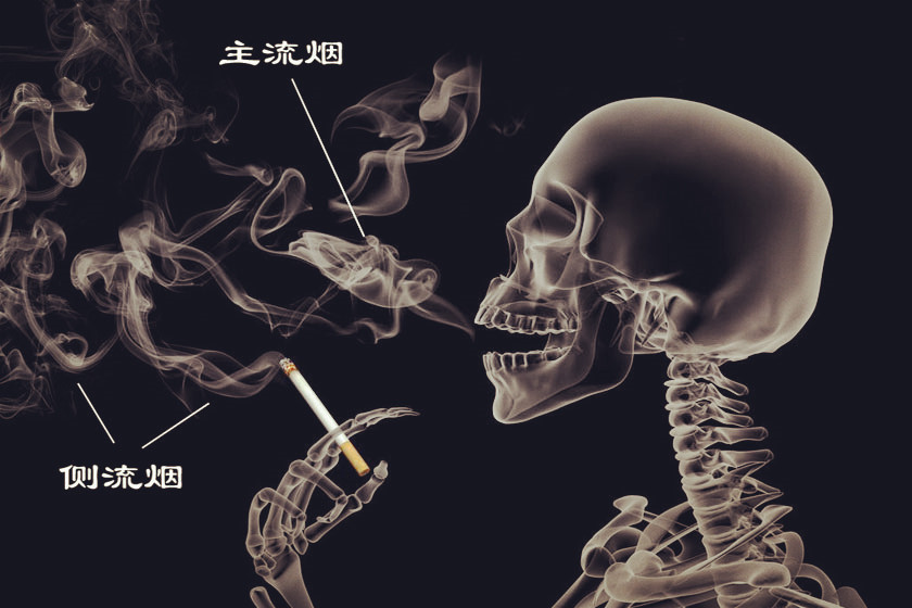 1主流_副本.jpg