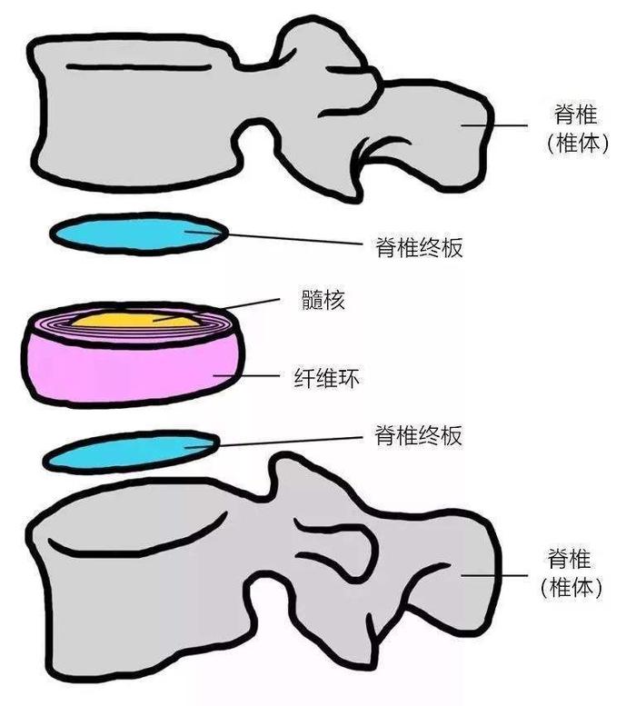 门诊中有患者拿着片子咨询,腰椎间盘膨出是怎么回事?_廖博__爱问健康