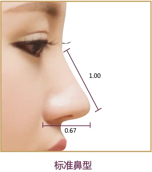 鼻子的长宽比.jpg