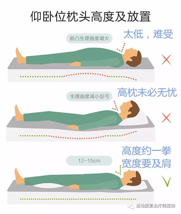 正常人平躺脊椎形状图图片