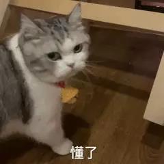 立肤保怎么用看完这一篇,关于“肌肤保湿”的难题立马解开_https://www.jmylbn.com_新闻资讯_第6张