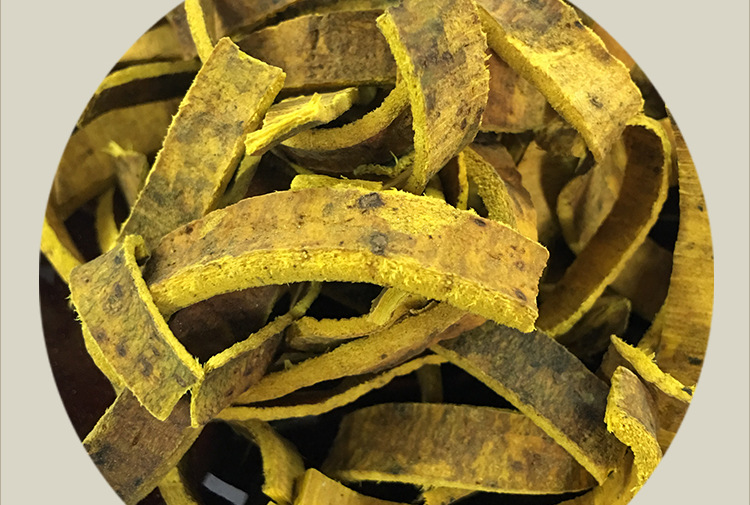 路边随处可见的黄柏,却能治疗这13种皮肤病!