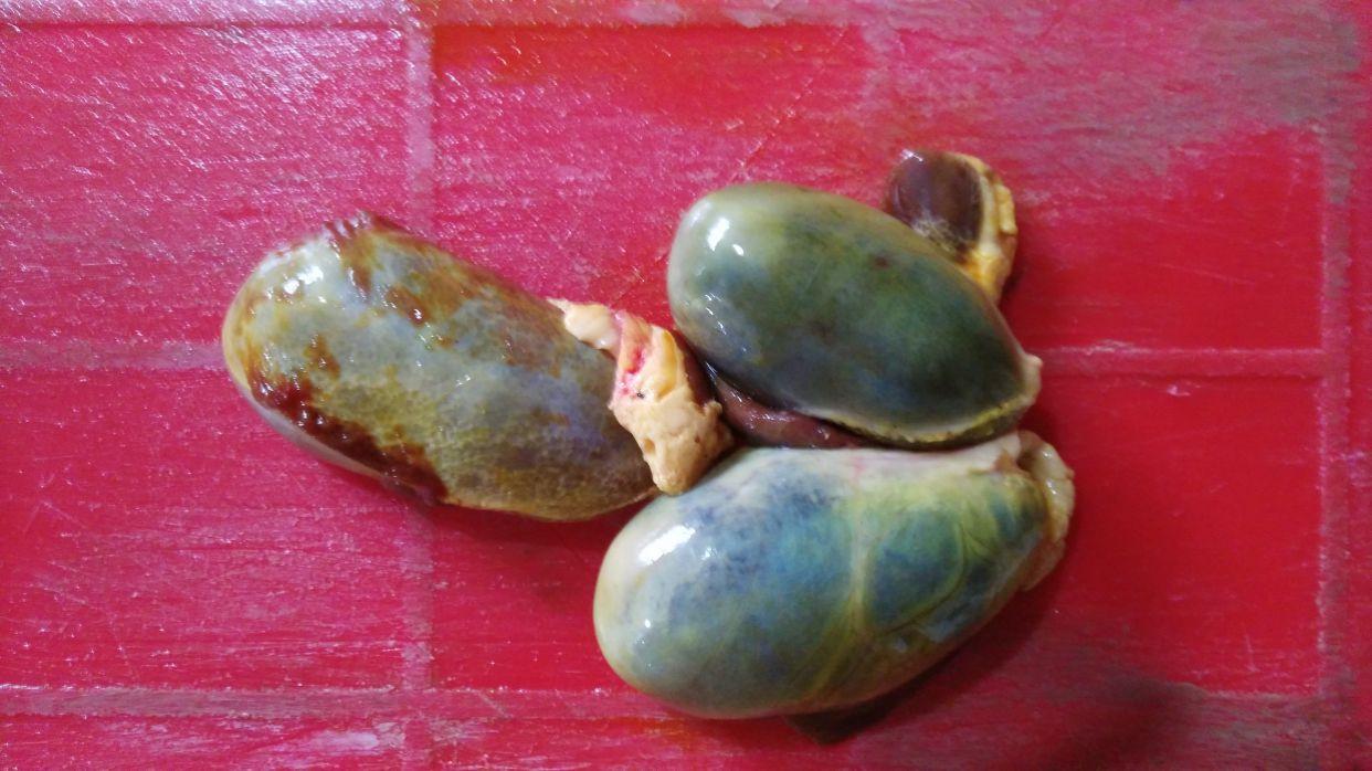 一,猪苦胆治疗脱发:另一方面,患者可以根据自身脱发的原因,通过调整