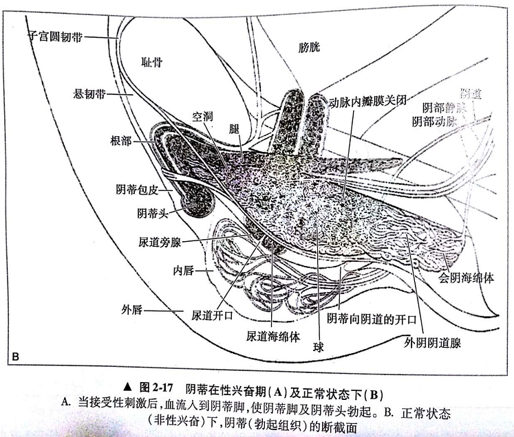 微信截图_20190613223841.png
