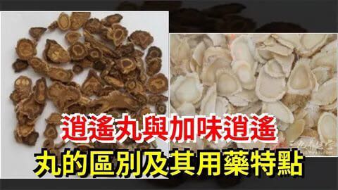 千古名方 — 逍遥散，现代人越来越适用了_张运杰_副主任医师_爱问健康
