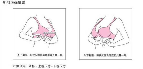 罩杯测量方法(图解)图片