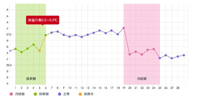 月经周期后,一个生理周期正常的女性会得到这样一张双相型体温曲线图