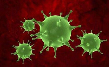 患有了这种疾病后,常常发生在包皮系带,阴茎,尿道,冠状沟,肛门周围