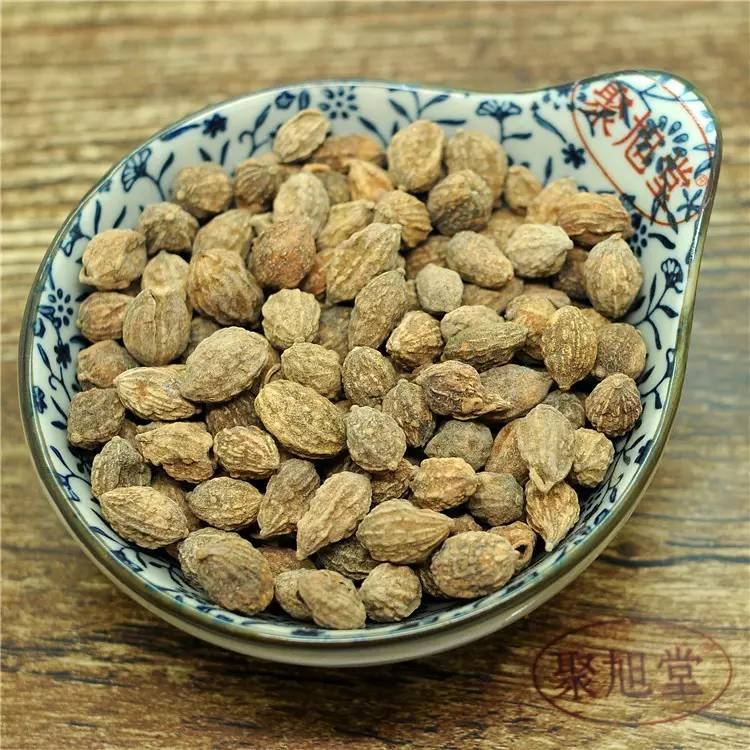 每天一味中草药:益智仁,睡觉流口水可以用它,还能治起夜尿频_张会永_副主任医师_爱问健康