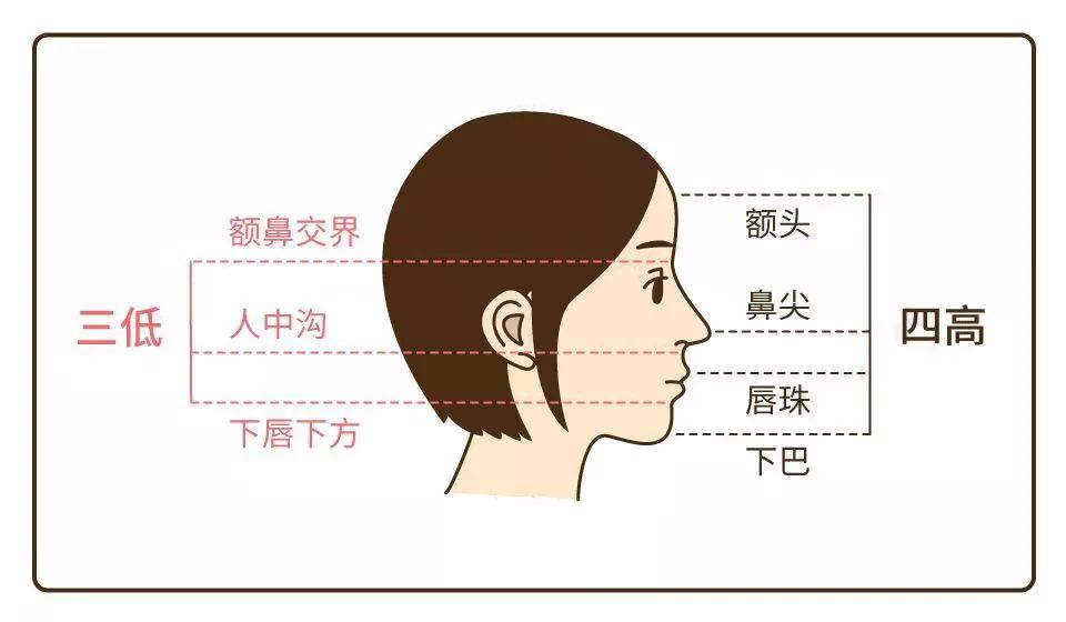 四高三低比例图图片