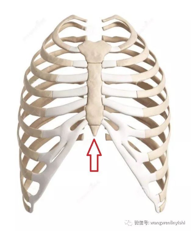剑突是人体一个非常特殊的结构,位于胸骨的最下端,两肋弓中间