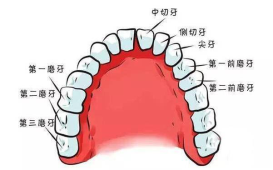 窝沟封闭即以窝沟封闭剂作为封闭材料,窝沟封闭剂固化后具有一定的抗
