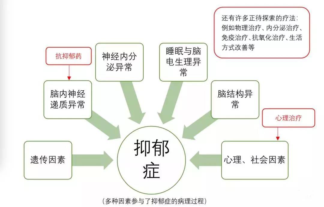 心理咨询中心:现代生活中的心灵守护者