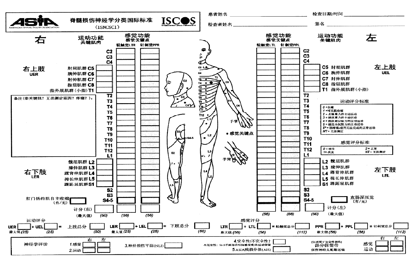 9%的脊髓损伤患者在24小时内接受减压手术后神经功能至少提高2级;超过