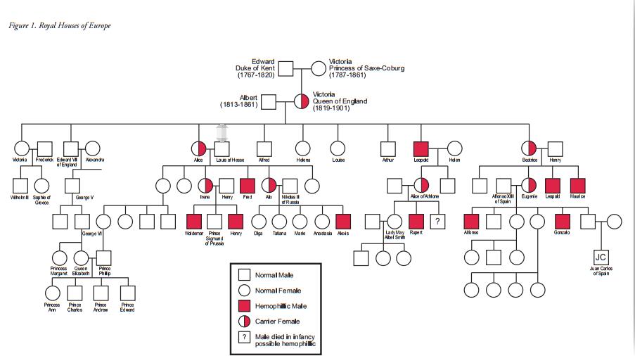 维多利亚女王携带血友病遗传基因,她把治病基因遗传给了它的幼子和