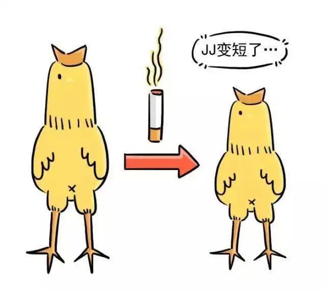 丁丁还会萎缩？长期吸烟会使丁丁变短？_邵军__爱问健康