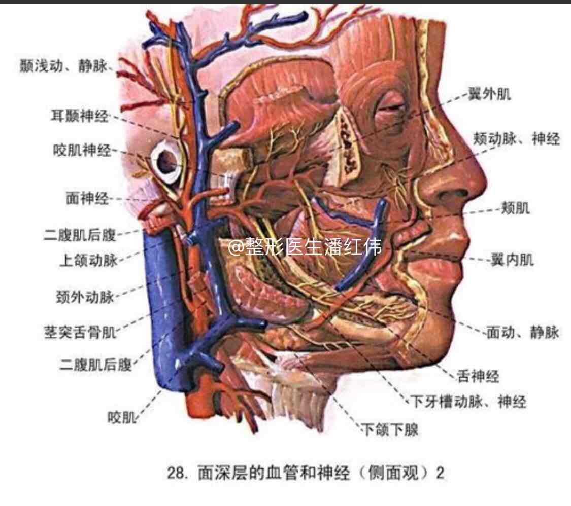 吸脂手术失败了咋么办?难道丑一辈子?出现哪些问题说明手术失败