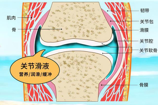 膝盖积液反反复复?教你正确解决