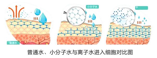 为什么说舒敏之星是“脱敏界”的一匹黑马?_韩昱华__爱问健康