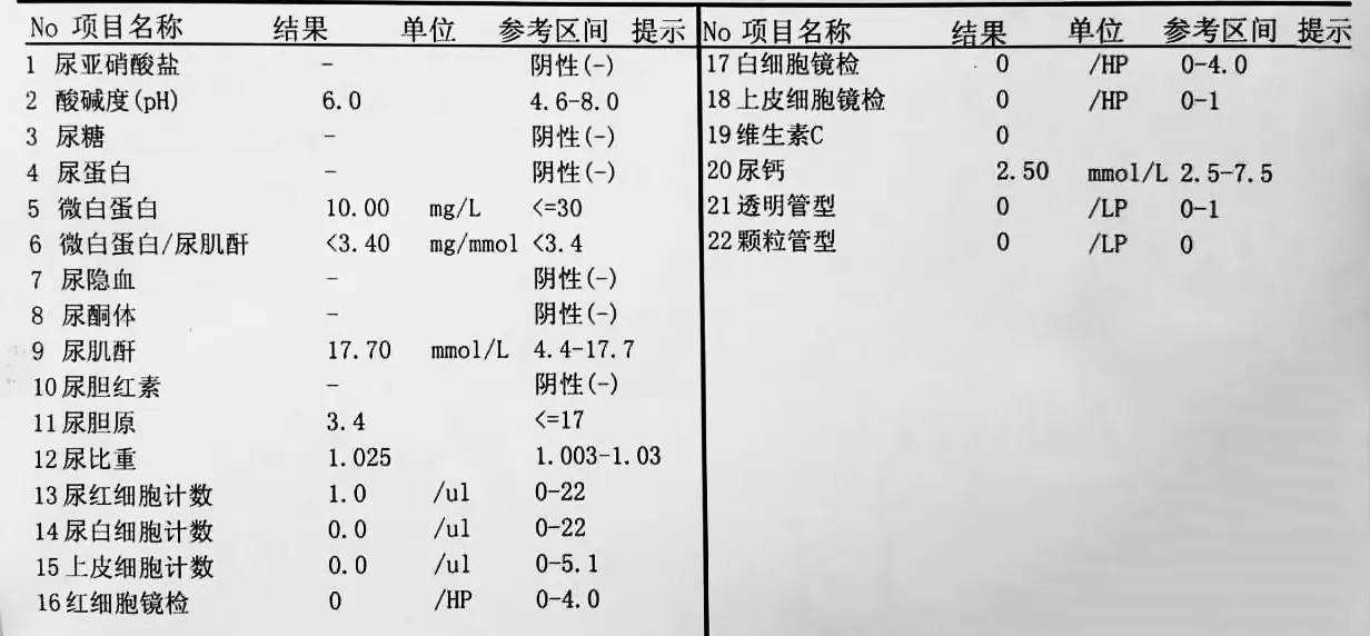 尿常规化验单儿童图片