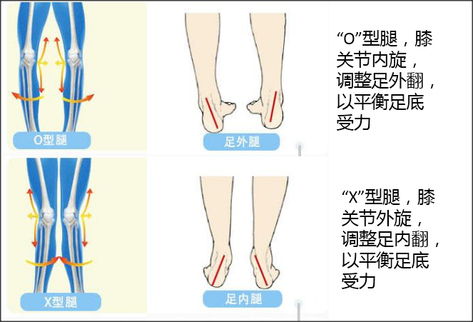 跟腱测量图解图片